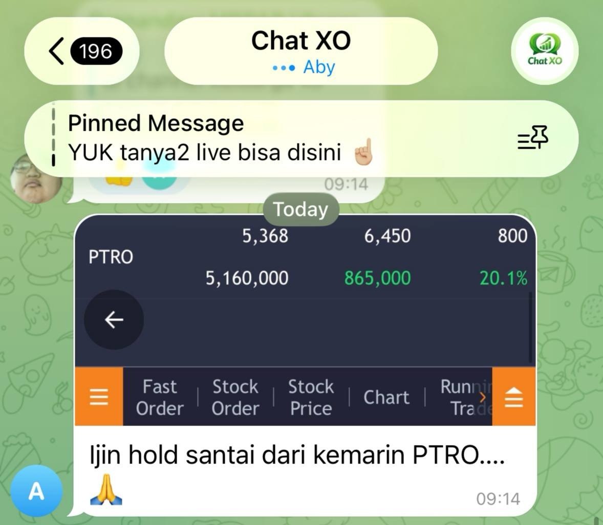 Testimoni XO 1