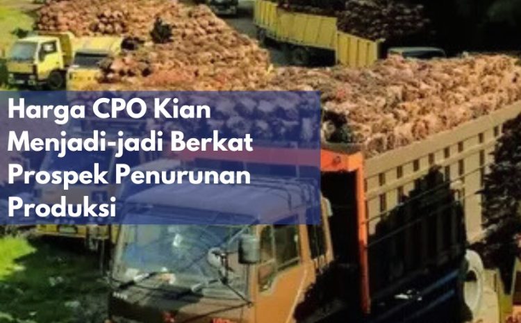  Kenaikan Harga CPO Terus Berlanjut akibat Prospek Produksi yang Menurun