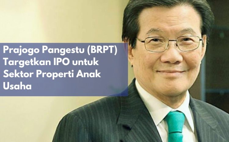  Prajogo Pangestu (BRPT) Targetkan IPO untuk Sektor Properti Anak Usaha