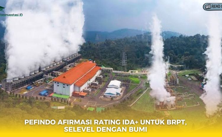  Pefindo Afirmasi Rating idA+ untuk BRPT, Selevel dengan BUMI