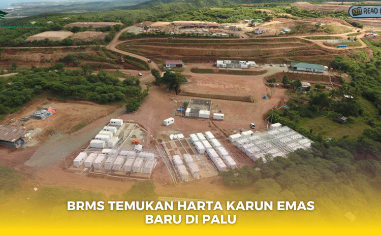  BRMS Temukan Harta Karun Emas Baru di Palu