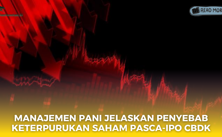  Manajemen PANI Jelaskan Penyebab Keterpurukan Saham Pasca-IPO CBDK