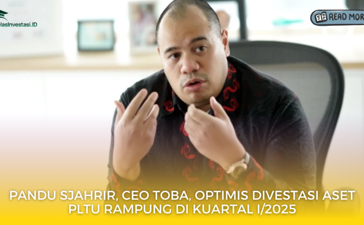  Pandu Sjahrir, CEO TOBA, Optimis Divestasi Aset PLTU Rampung di Kuartal I/2025