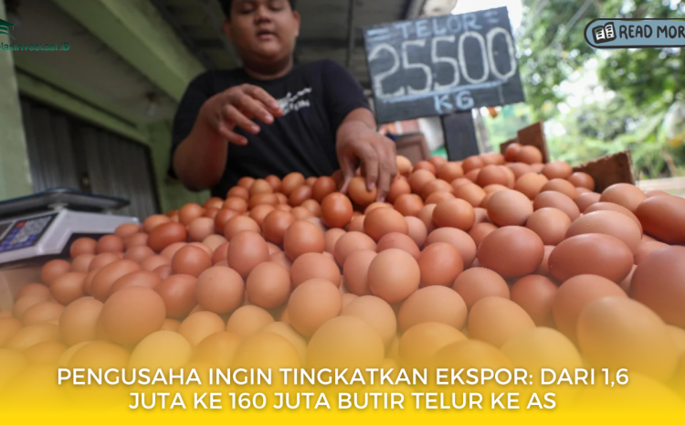  Pengusaha Ingin Tingkatkan Ekspor: Dari 1,6 Juta ke 160 Juta Butir Telur ke AS
