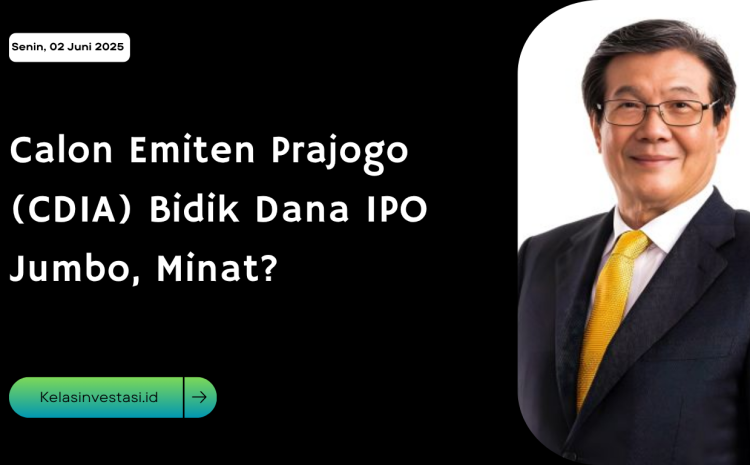  Calon Emiten Prajogo (CDIA) Bidik Dana IPO Jumbo, Minat?