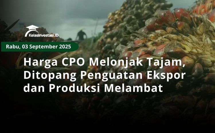  Harga CPO Melonjak Tajam, Ditopang Penguatan Ekspor dan Produksi Melambat
