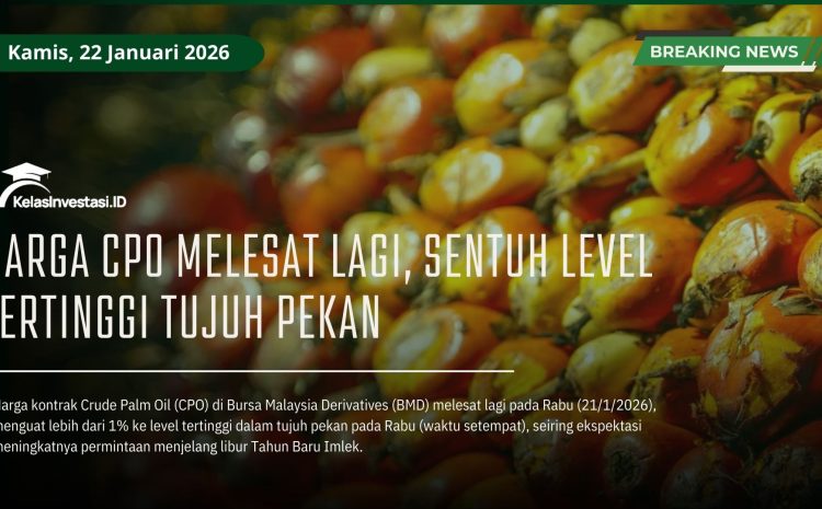  Harga CPO Melesat Lagi, Sentuh Level Tertinggi Tujuh Pekan